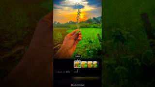 Village Editing Video Vn Video Editing Farming Video