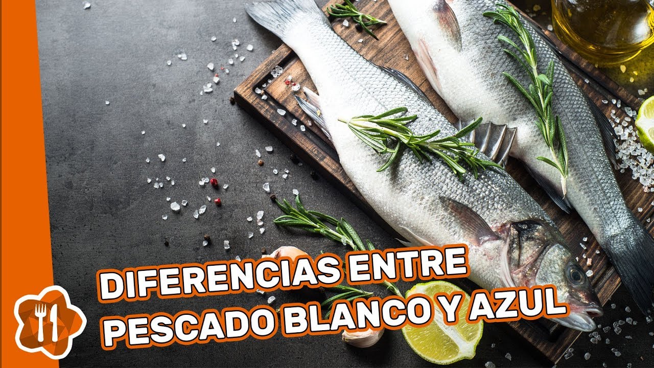 diferencias entre pescado blanco y azul