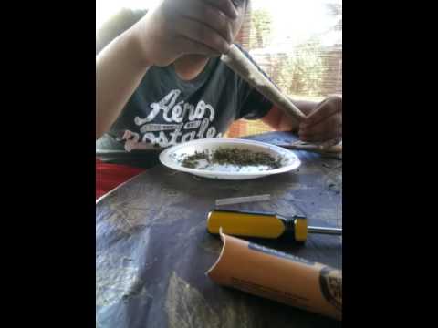 camera iphone 8 plus apk Big Raw Cone