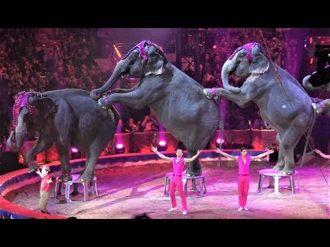 Gärtner Family - Elephant Show - Bronze Clown - Monte-Carlo 2019