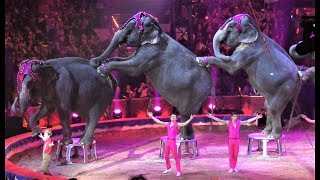 Gärtner Family - Elephant Show - Bronze Clown - Monte-Carlo 2019