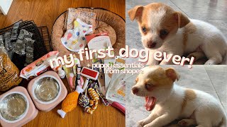 my first dog ever (chihuahua) + puppy essentials from shopee!  | philippines