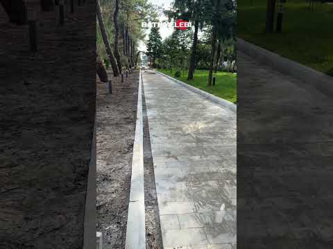 ბულვარის ადმინისტრაცია სკვერს აწყობს ისე, რომ ბიუჯეტიდან ფულს არ ხარჯავს