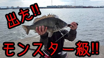 ヘチ釣り