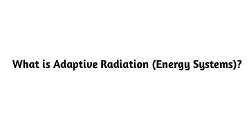 What is Adaptive Radiation in Energy Systems ?