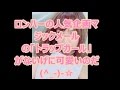 ロンハー人気企画「トラップガール」達がなにげに可愛いすぎて話題