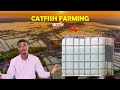 100 Catfishes Farm Setup (Tutorial)  - Backyard square tank farming