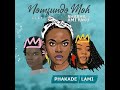 (Lyrics Video) Nomfundo Moh - Phakade Lami ft. Sha Sha, Ami Faku (Dj Kalourfool Guitar Mix)