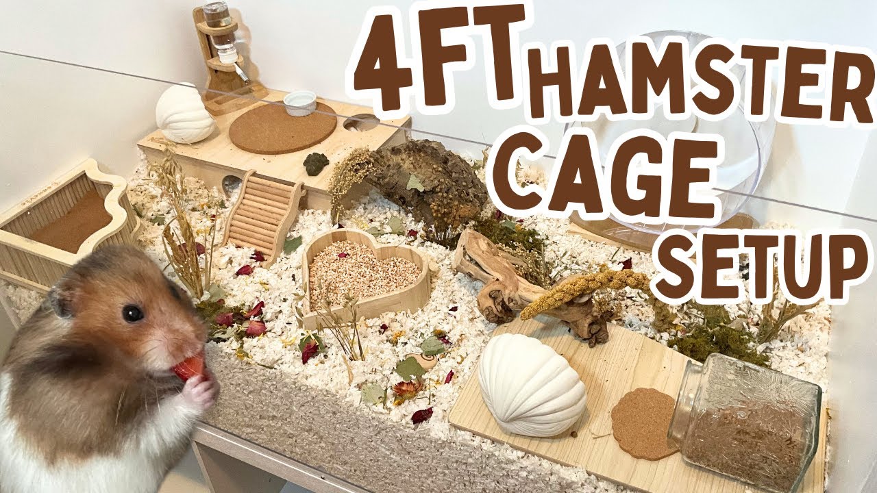 Set Up a 4ft Hamster Cage With Me