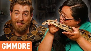 Hanging Out with TWO 6ft Boa Constrictors