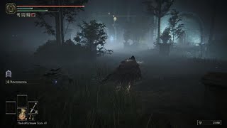 Where To Find Royal Knight Loretta Boss - How To Get Through Caria Manor | Elden Ring