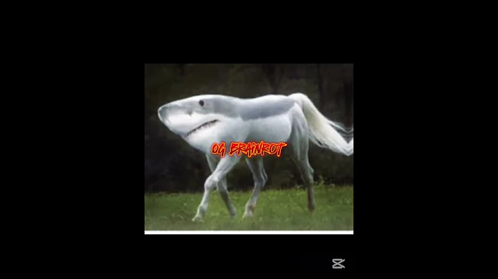 2023 brainrot was the best #brainrot #edit #2023 #2025 #italianbrainrot