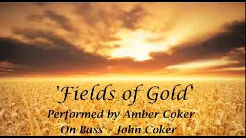 Fields of Gold - Amber Coker