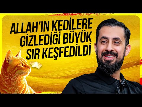 Allah'ın Kedilere Gizlediği Büyük Sır Keşfedildi - İktiran | Mehmet Yıldız