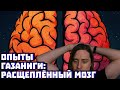 Опыты Газаниги: расщеплённый мозг | Владимир Алипов