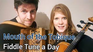 Video thumbnail of "Mouth Of The Tobique (Canadian Reel) FIDDLE TUNE A DAY"