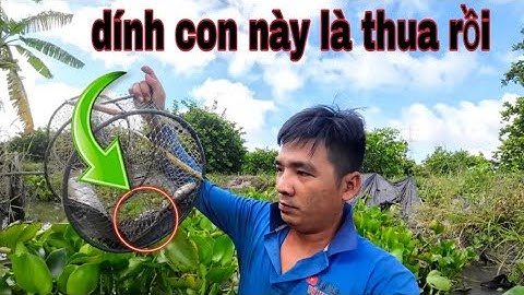 Đặt lờ cá kiểu này,, đỡ sau nổi - vũ heo