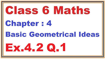 Ex.4.2, (Q.1) Chapter:4 Basic Geometrical Ideas | Ncert Maths Class 6 | Cbse