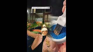 Download Lagu Bedankt allemaal voor het kijken!#pov #funny #fyp #fun #comedy #skit #shorts #foryou MP3