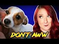Try not to AWW Challenge | 26