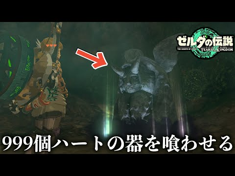 999個ハートの器増殖させる会【ゼルダの伝説ティアーズオブザ