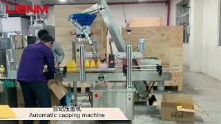 Automatic Bottle Capping Machine with Cap Elevator