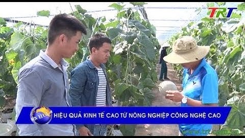 Hiệu quả kinh tế cao từ nông nghiệp công nghệ cao