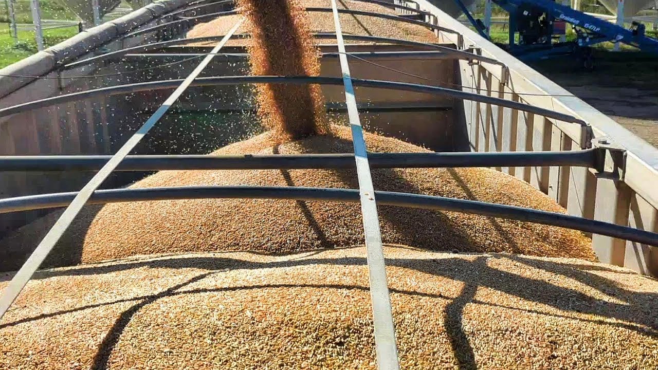 Отклонено... Попробуйте еще раз