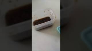 먹쇼먹방13화 떵개떵 밴쯔 쯔양