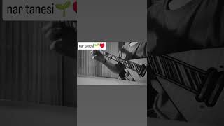 Neşet Ertaş - Nar Tanesi Elektro Bağlama Cover Düz Oğuzhan Açıkgöz