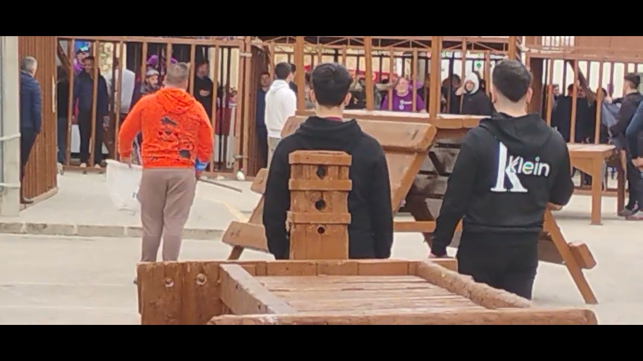 Enorme toro ganadería coves pedreguer alicante 