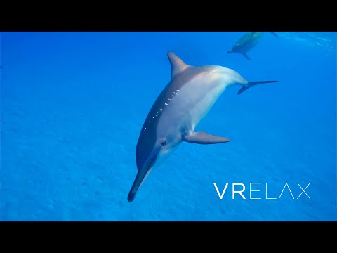VRelax - 360