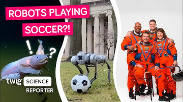 Meet the Soccer-Playing Robot!