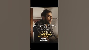 اسلام_صبحي ﴿ وَ اللّٰہُ یَدۡعُوۡۤا اِلٰی دَارِ السَّلٰمِ ﴾ سورة يونس #القرآن_الكريم #اسلام_صبحي
