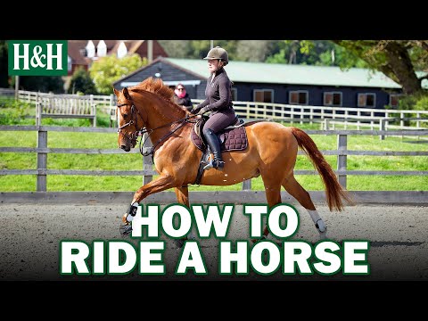 How To Ride A Horse | Horse & Hound