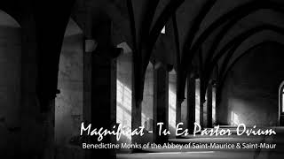 The Art Of Gregorian Chant Magnificat - Tu Es Pastor Ovium