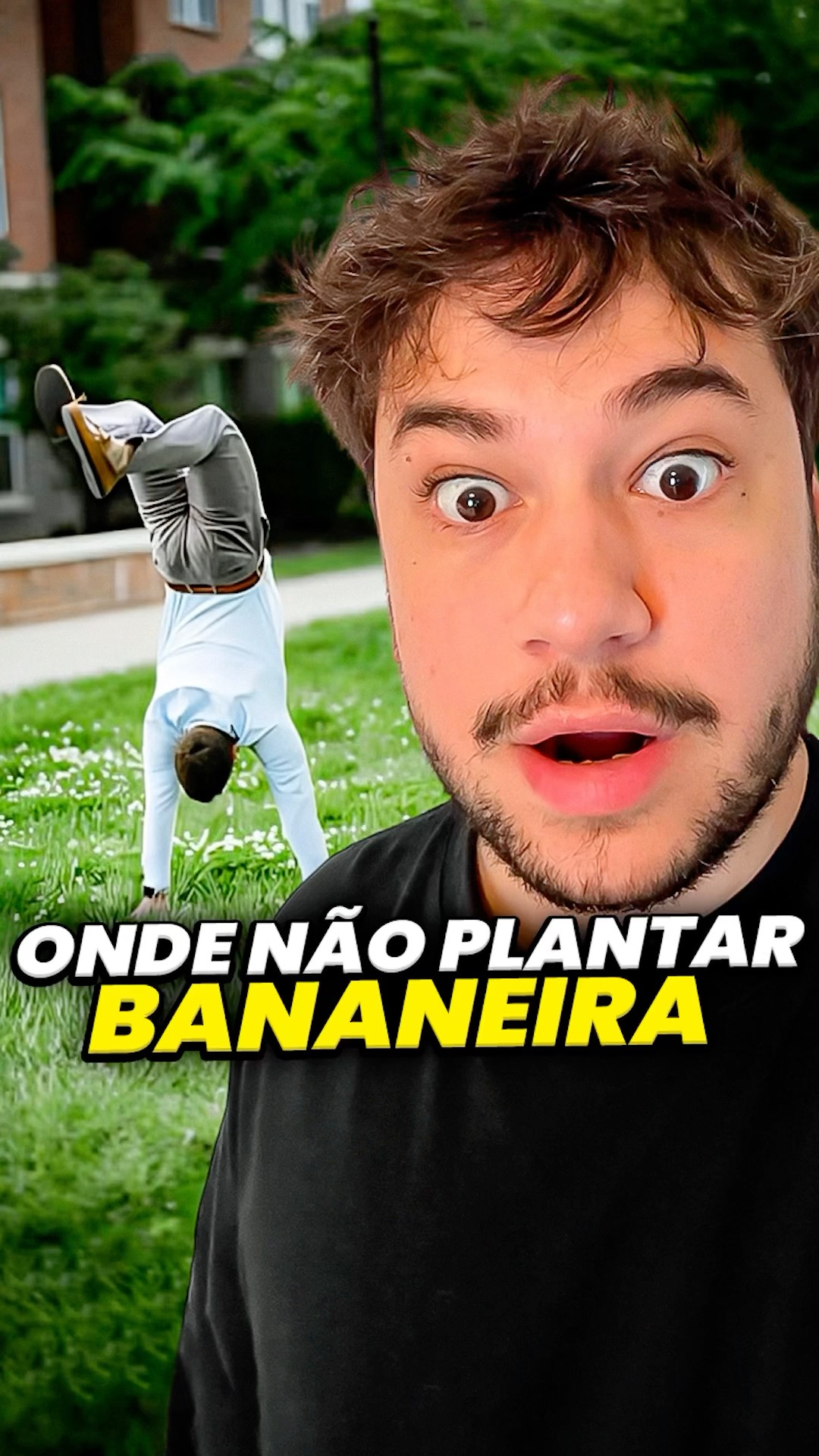 pode plantar bananeira? #livedobrino #humor #MundinhoBrino