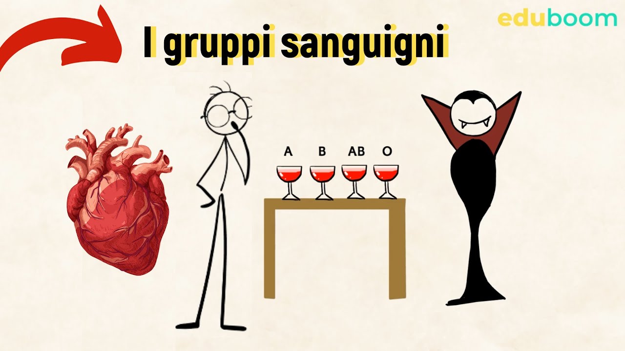 I gruppi sanguigni