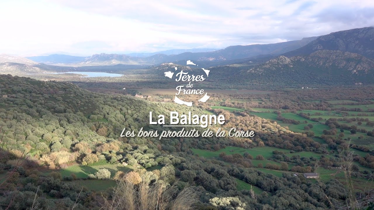 La Balagne, les bons produits de la Corse - Terres de France