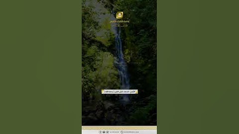 ومن يسلم وجهه إلى الله وهو محسن - محمد خليل قارئ