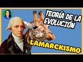 Lamarck  - Teoria de la evolución | Lamarckismo |