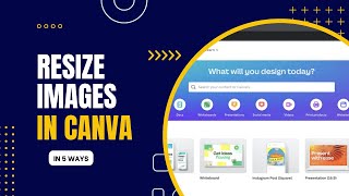 Resize Images in Canva for Free screenshot 5