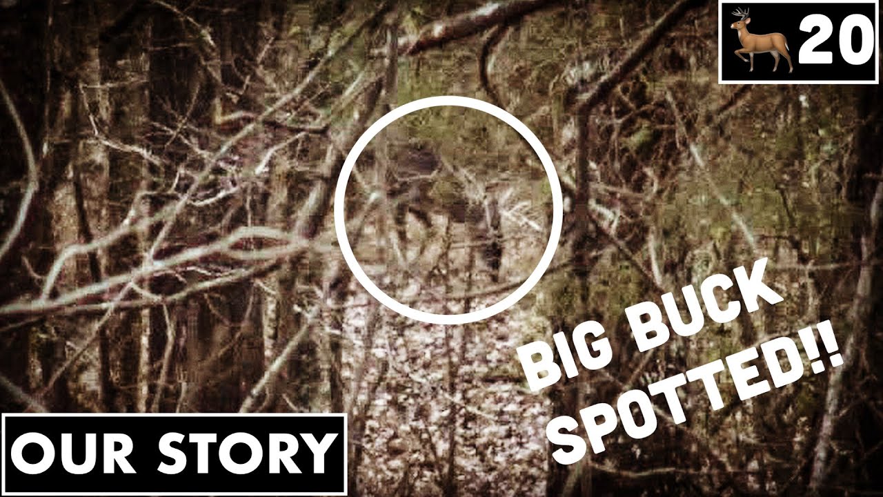 Public Land Buck Cruising Mississippi Public Land Deer Hunting Late