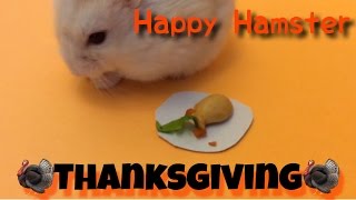 Happy Hamster Thanksgiving!