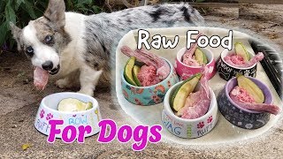 What My Dogs Eat In A Week | Feeding Raw Meat & Bone