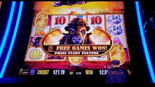 BUFFALO GOLD Y'ALL!!! #aristocrat #casino #freegames #slots 