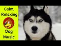 Relaxing Classic Music For Dogs 💖 Calming Piano Music To Help Puppy Dogs Relax