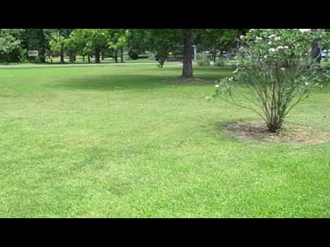 1574 Highway 115, Deville, LA home video tour