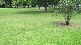 1574 Highway 115 video tour