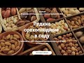 Редкие орехоплодные культуры в саду